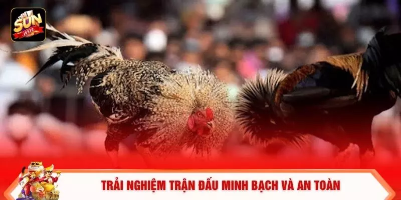 Trải nghiệm trận đấu minh bạch và an toàn