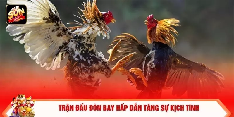 Trận đấu đòn bay hấp dẫn tăng sự kịch tính